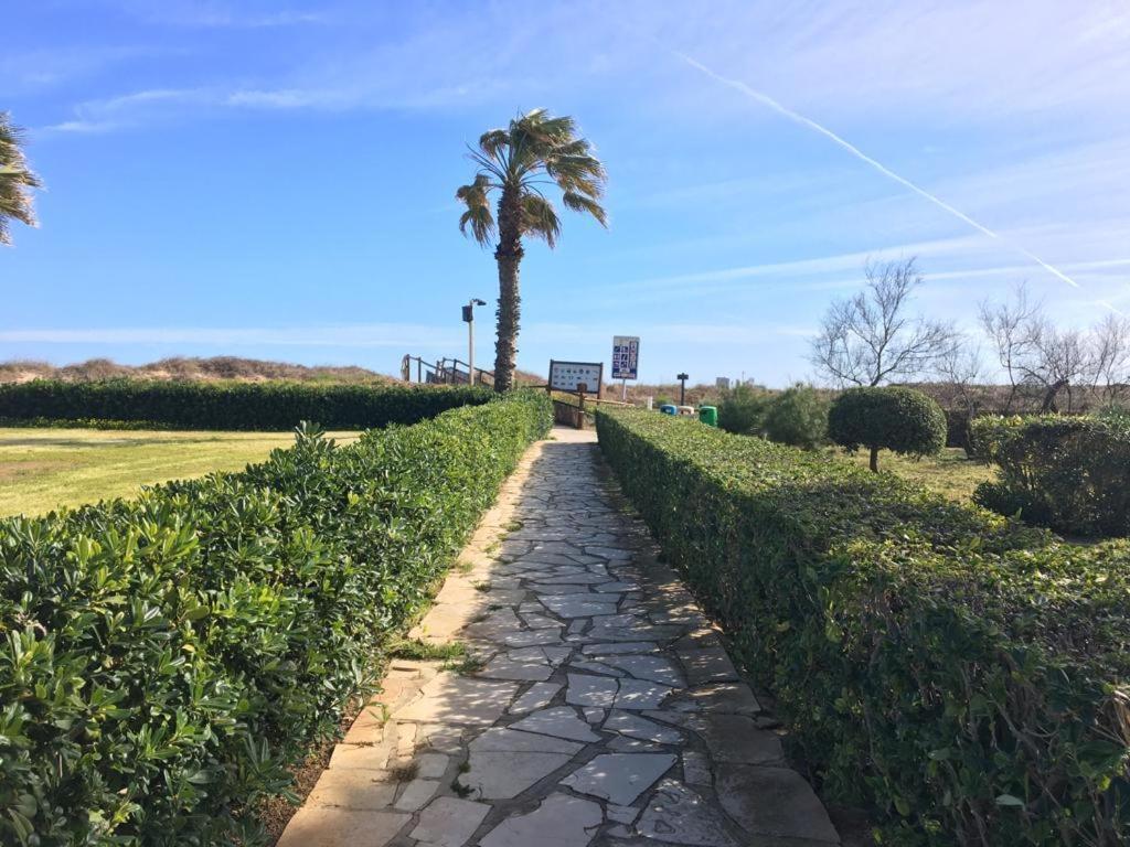 Apartamento A 100 Metros De La Playa Con Grande Terraza Y Vistas Al Mar Daimús Eksteriør billede